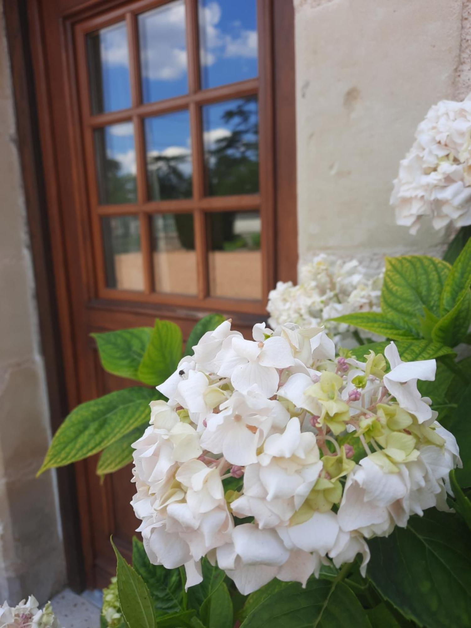 Hotel Marguerite équipée PMR Montreuil-en-Touraine Esterno foto